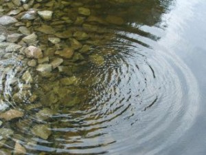 Круги на воде
