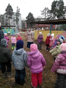 Сороки