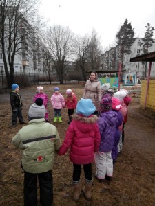 Сороки
